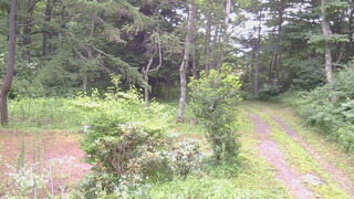 長野県菅平高原 ゆたか山荘 坂上 2026/07/25 06:30