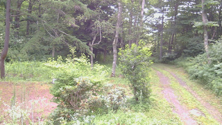 長野県菅平高原 ゆたか山荘 坂上 2026/07/25 06:45