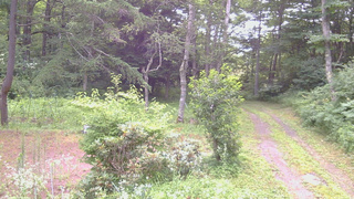 長野県菅平高原 ゆたか山荘 坂上 2026/07/25 07:00
