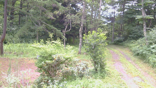 長野県菅平高原 ゆたか山荘 坂上 2026/07/25 07:15
