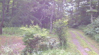 長野県菅平高原 ゆたか山荘 坂上 2026/07/25 07:30