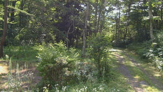 長野県菅平高原 ゆたか山荘 坂上 2026/07/25 08:15