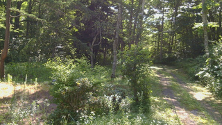 長野県菅平高原 ゆたか山荘 坂上 2026/07/25 08:30