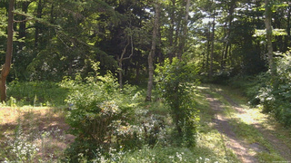 長野県菅平高原 ゆたか山荘 坂上 2026/07/25 08:45