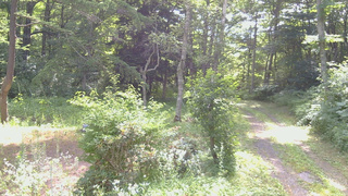 長野県菅平高原 ゆたか山荘 坂上 2026/07/25 09:00