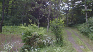 長野県菅平高原 ゆたか山荘 坂上 2026/07/25 09:15