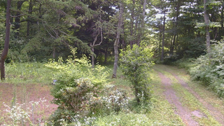 長野県菅平高原 ゆたか山荘 坂上 2026/07/25 10:00