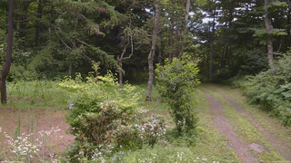 長野県菅平高原 ゆたか山荘 坂上 2026/07/25 10:15
