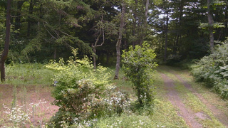 長野県菅平高原 ゆたか山荘 坂上 2026/07/25 10:30