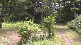 長野県菅平高原 ゆたか山荘 坂上 2026/07/25 10:45