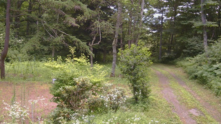 長野県菅平高原 ゆたか山荘 坂上 2026/07/25 11:15