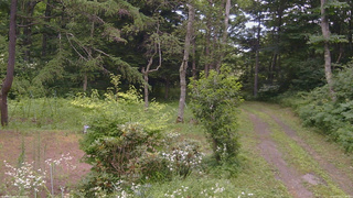 長野県菅平高原 ゆたか山荘 坂上 2026/07/25 11:30