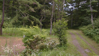 長野県菅平高原 ゆたか山荘 坂上 2026/07/25 11:45