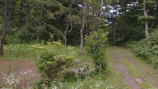 長野県菅平高原 ゆたか山荘 坂上 2026/07/25 12:00
