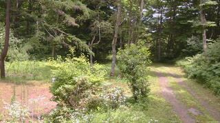 長野県菅平高原 ゆたか山荘 坂上 2026/07/25 12:15