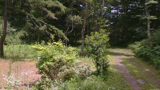 長野県菅平高原 ゆたか山荘 坂上 2026/07/25 12:30