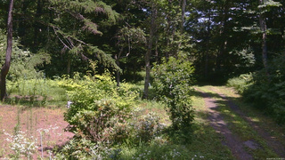 長野県菅平高原 ゆたか山荘 坂上 2026/07/25 12:45