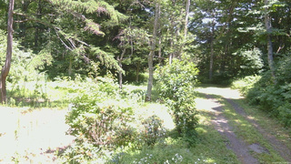 長野県菅平高原 ゆたか山荘 坂上 2026/07/25 13:00