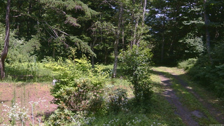 長野県菅平高原 ゆたか山荘 坂上 2026/07/25 13:15