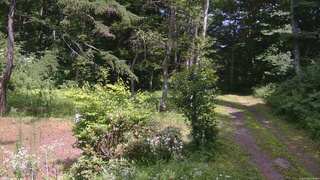 長野県菅平高原 ゆたか山荘 坂上 2026/07/25 13:30