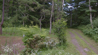 長野県菅平高原 ゆたか山荘 坂上 2026/07/25 13:45