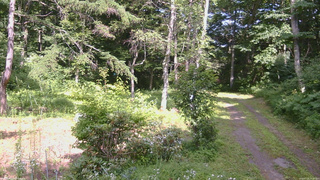 長野県菅平高原 ゆたか山荘 坂上 2026/07/25 14:15