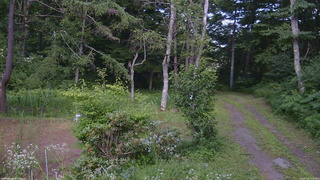 長野県菅平高原 ゆたか山荘 坂上 2026/07/25 15:15