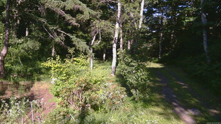 長野県菅平高原 ゆたか山荘 坂上 2026/07/25 16:15