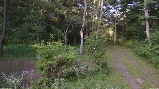 長野県菅平高原 ゆたか山荘 坂上 2026/07/25 17:45