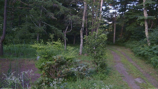 長野県菅平高原 ゆたか山荘 坂上 2026/07/25 18:00