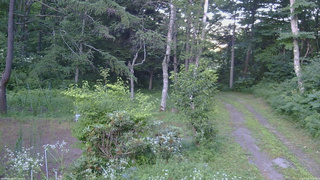 長野県菅平高原 ゆたか山荘 坂上 2026/07/25 18:15