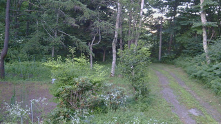 長野県菅平高原 ゆたか山荘 坂上 2026/07/25 18:30