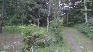 長野県菅平高原 ゆたか山荘 坂上 2026/07/25 19:00