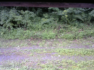 長野県菅平高原 ゆたか山荘 東側(坂下) 2026/07/26 08:15