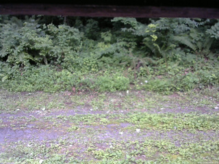長野県菅平高原 ゆたか山荘 東側(坂下) 2026/07/26 09:00