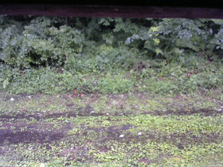 長野県菅平高原 ゆたか山荘 東側(坂下) 2026/07/26 09:45
