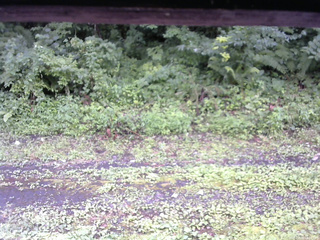 長野県菅平高原 ゆたか山荘 東側(坂下) 2026/07/26 13:30