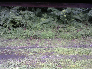 長野県菅平高原 ゆたか山荘 東側(坂下) 2026/07/26 16:15