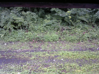 長野県菅平高原 ゆたか山荘 東側(坂下) 2026/07/26 17:15