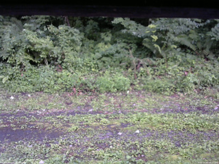長野県菅平高原 ゆたか山荘 東側(坂下) 2026/07/26 18:15
