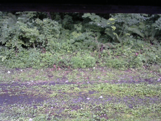 長野県菅平高原 ゆたか山荘 東側(坂下) 2026/07/26 18:30