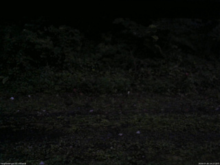 長野県菅平高原 ゆたか山荘 東側(坂下) 2026/07/26 19:15