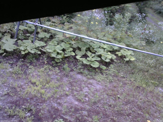 長野県菅平高原 ゆたか山荘 駐車場 2026/07/26 05:30