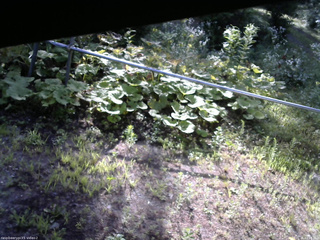 長野県菅平高原 ゆたか山荘 駐車場 2026/07/26 07:15