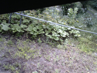 長野県菅平高原 ゆたか山荘 駐車場 2026/07/26 08:00