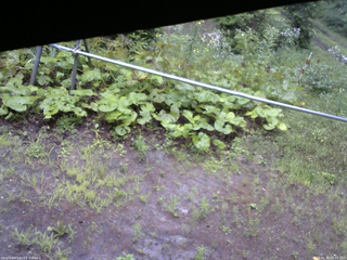 長野県菅平高原 ゆたか山荘 駐車場 2026/07/26 09:45