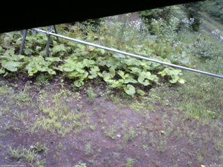 長野県菅平高原 ゆたか山荘 駐車場 2026/07/26 10:00
