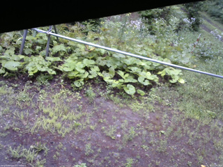 長野県菅平高原 ゆたか山荘 駐車場 2026/07/26 11:00