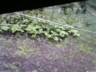 長野県菅平高原 ゆたか山荘 駐車場 2026/07/26 11:30