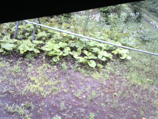 長野県菅平高原 ゆたか山荘 駐車場 2026/07/26 11:45